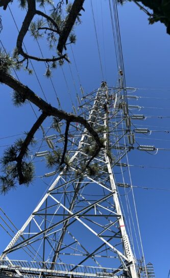 堺港線　電線張り替え工事
