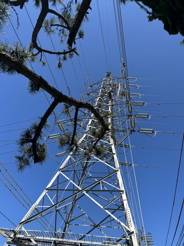 堺港線　電線張り替え工事